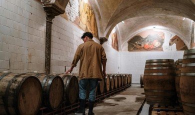 How Proofreading and Editing Improve Beer Factory Tours